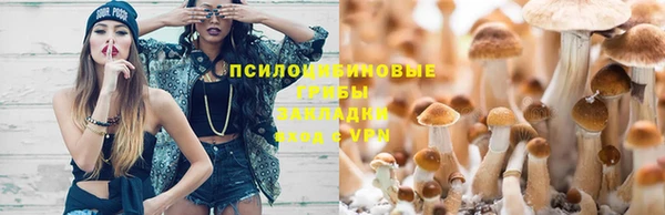 соль ск Алексеевка