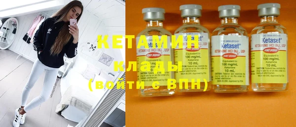 мет Ельня